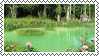 Pond